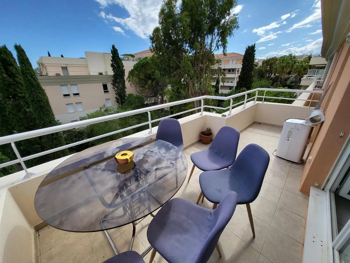 Appart Luxueux 3 Pieces, Piscine, Mer, Terrasse Cannes Appartement